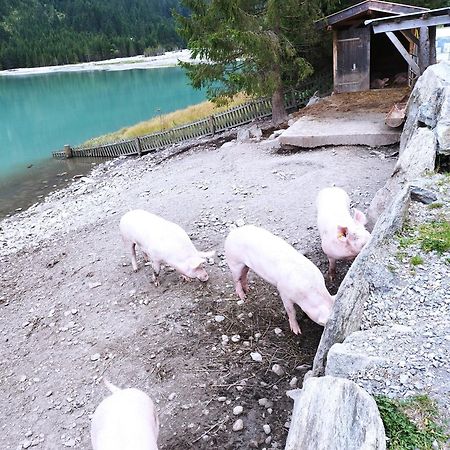 Apart Gerlossteinblick Aschau Im Zillertal エクステリア 写真
