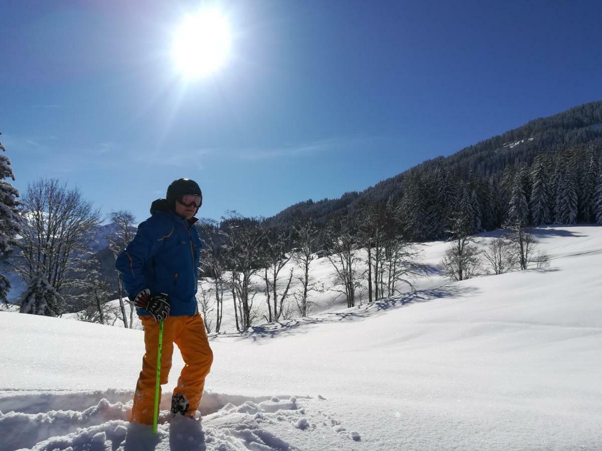 Apart Gerlossteinblick Aschau Im Zillertal エクステリア 写真