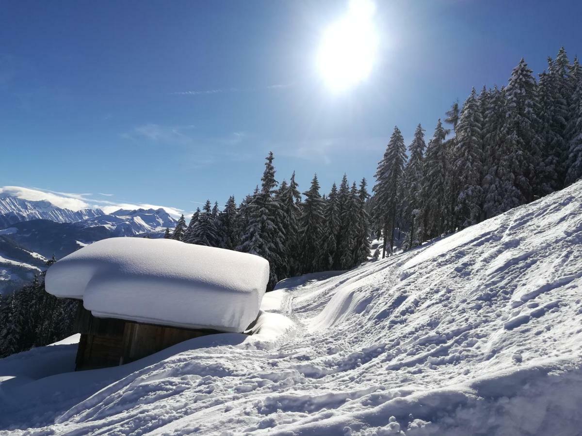 Apart Gerlossteinblick Aschau Im Zillertal エクステリア 写真
